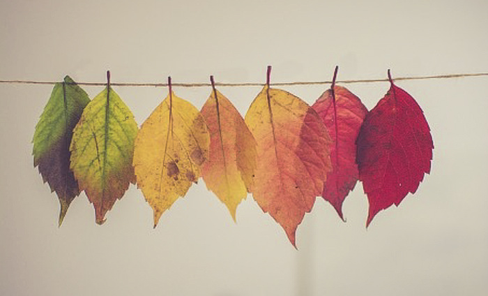 Change Management leiderschapstraining leadership training cowize